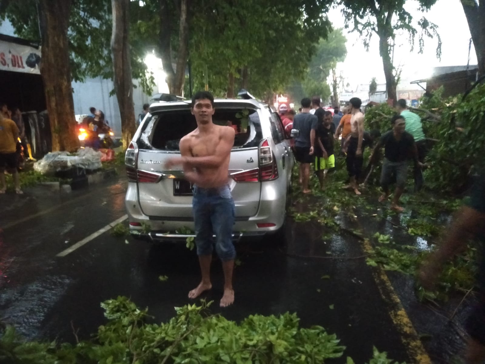 Hujan Disertai Angin Kencang, Puluhan Pohon di Mojosari Tumbang