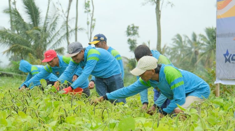Panen Raya Nasional Lapas Malang Sumbang 9 Ton