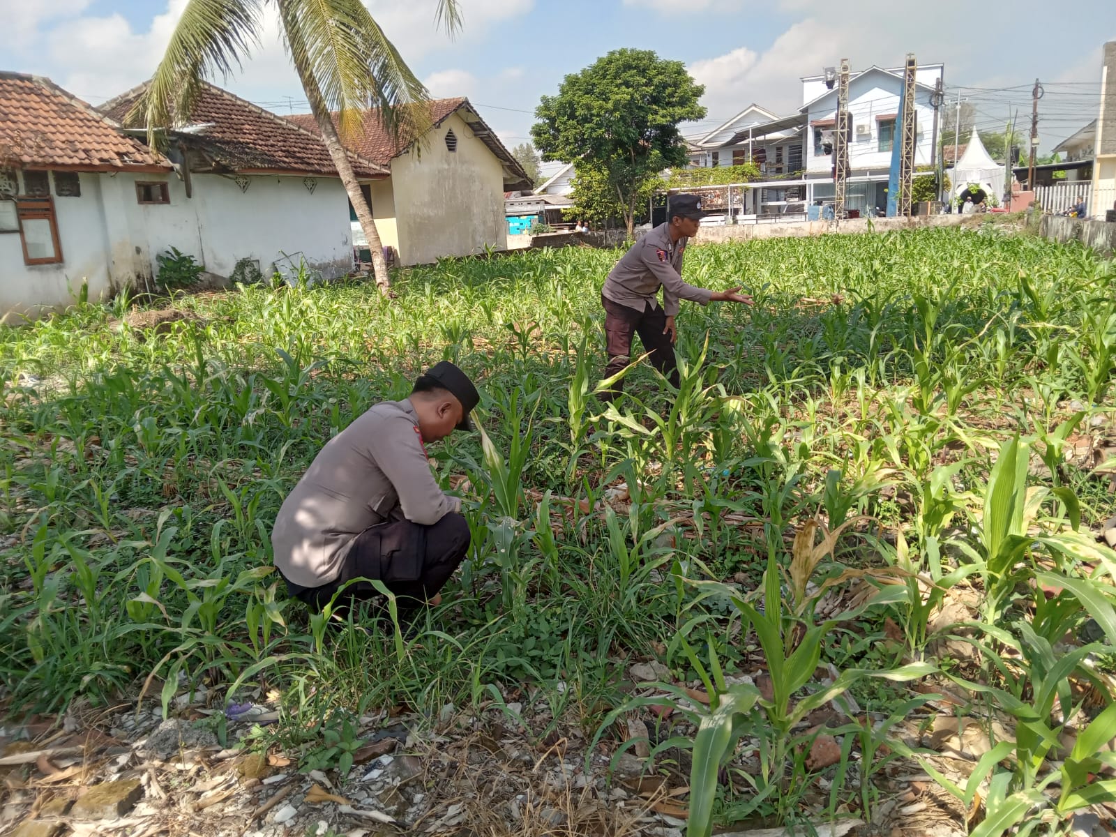 Sinergi Polsek Jatiroto dan Warga, Dorong Capaian Swasembada Pangan