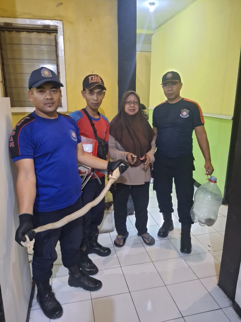 Tim Pemadam Kebakaran dan Penyelamatan Jember Tangkap Ular Cobra di Kamar Mandi Rumah Warga