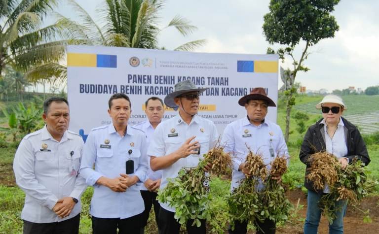 Panen Perdana SAE L’SIMA Malang, Kemenkumham Jatim Targetkan Perluasan Lahan Kacang Tanah