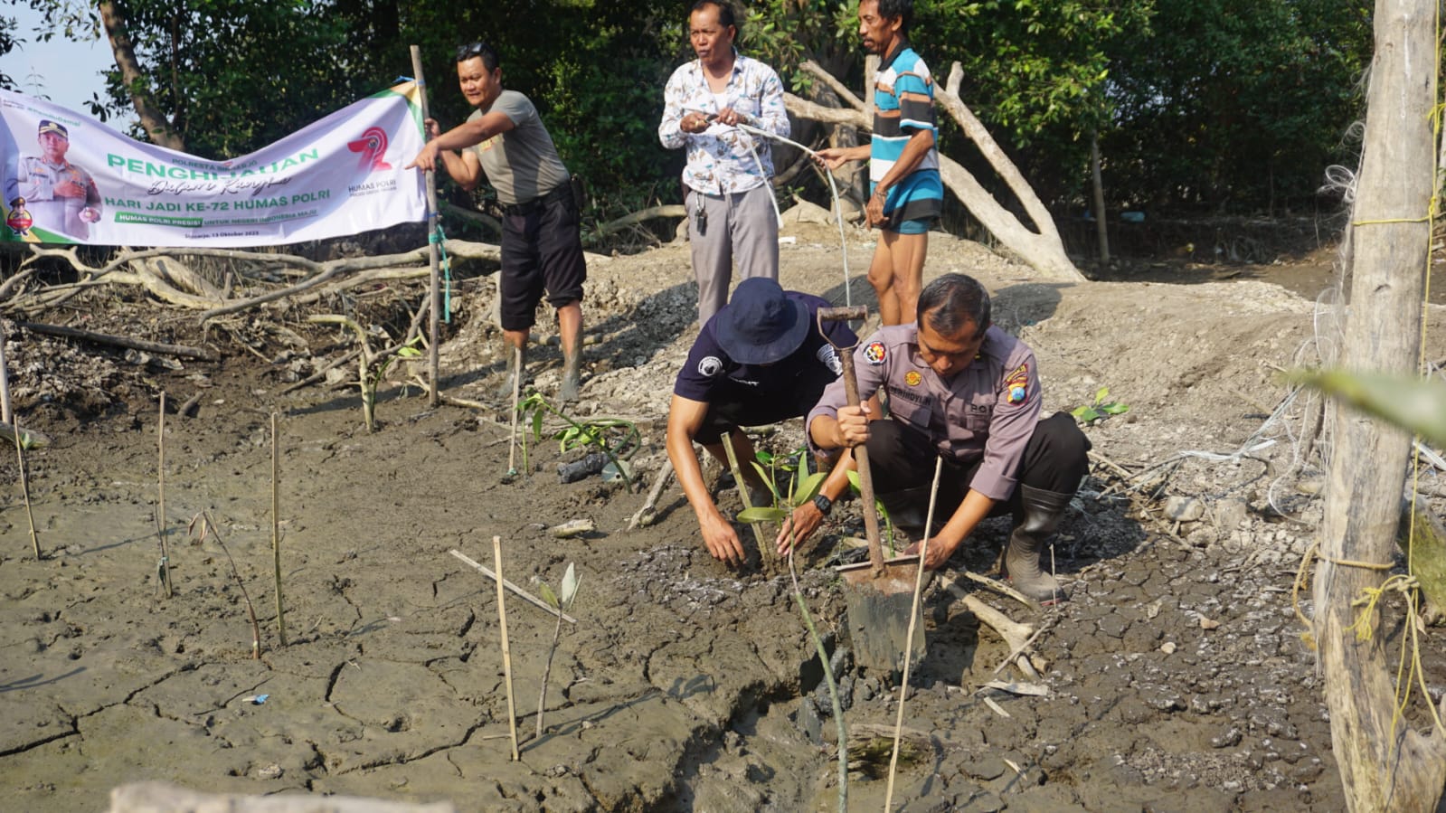 Polisi Tanam Mangrove di Pesisir Desa Tambak Cemandi