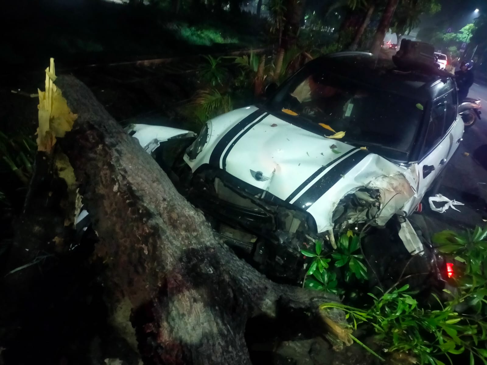Kurang Jaga Jarak, Mini Cooper Tabrak Motor dan Pohon di Jalan Ahmad Yani