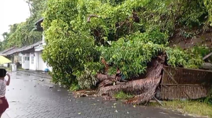 Dilanda Hujan Lebat, Longsor Timpa Rumah Warga di Pulau Bawean