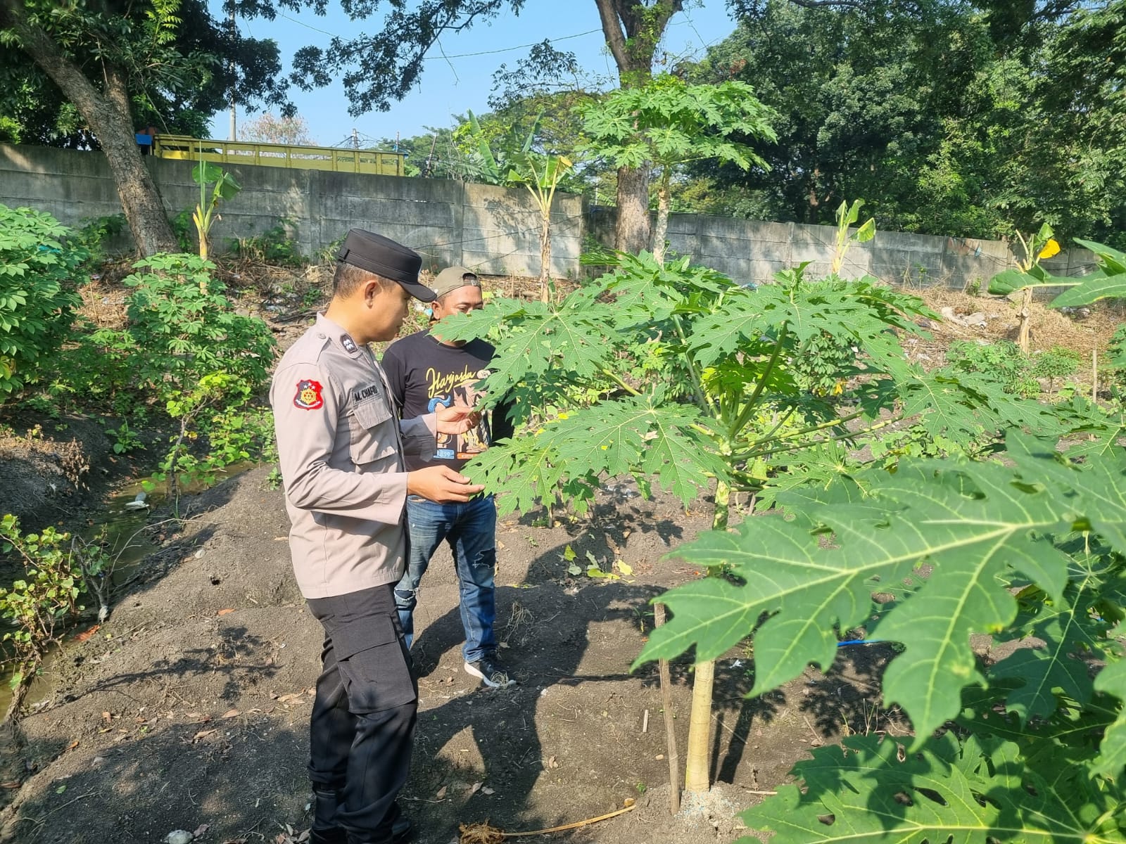 Polsek Taman Pacu Ketahanan Pangan
