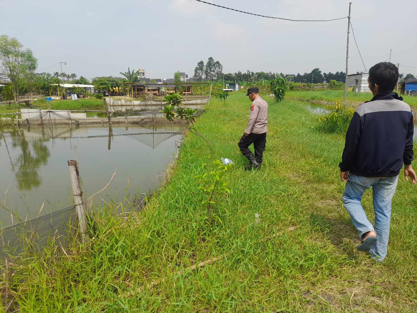 Polisi Turun ke Kolam Lele Trosobo Taman