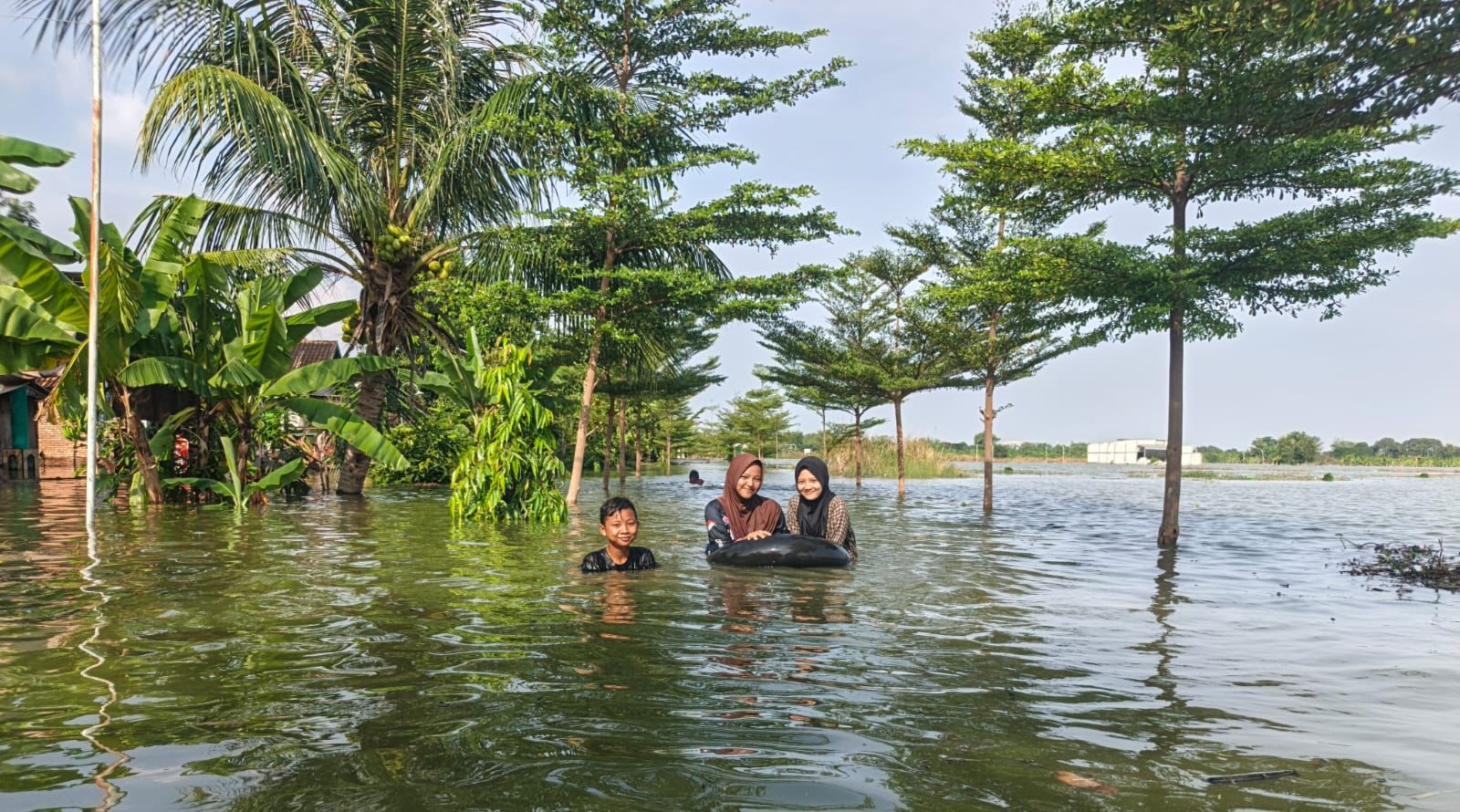 Banjir Bengawan Solo Rendam Ratusan Rumah di Gresik: Ternak Dievakuasi, Warga Enggan Mengungsi