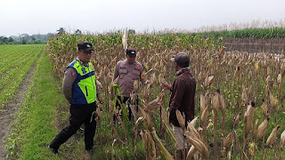 Polisi Kediri Sambang Dialogis dengan Petani, Dukung Ketahanan Pangan