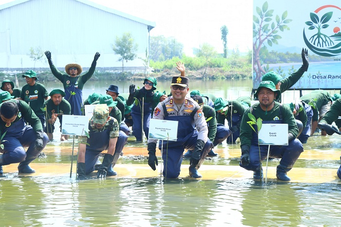 Jaga Ekosistem Pesisir, Polres Gresik Bersama Forkopimda dan PT Smelting Tanam 10.000 Mangrove di Randuboto