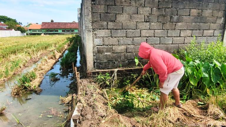 DLH Kabupaten Madiun Soroti Dugaan Limbah SPPG Cemari Sawah Warga Geger!