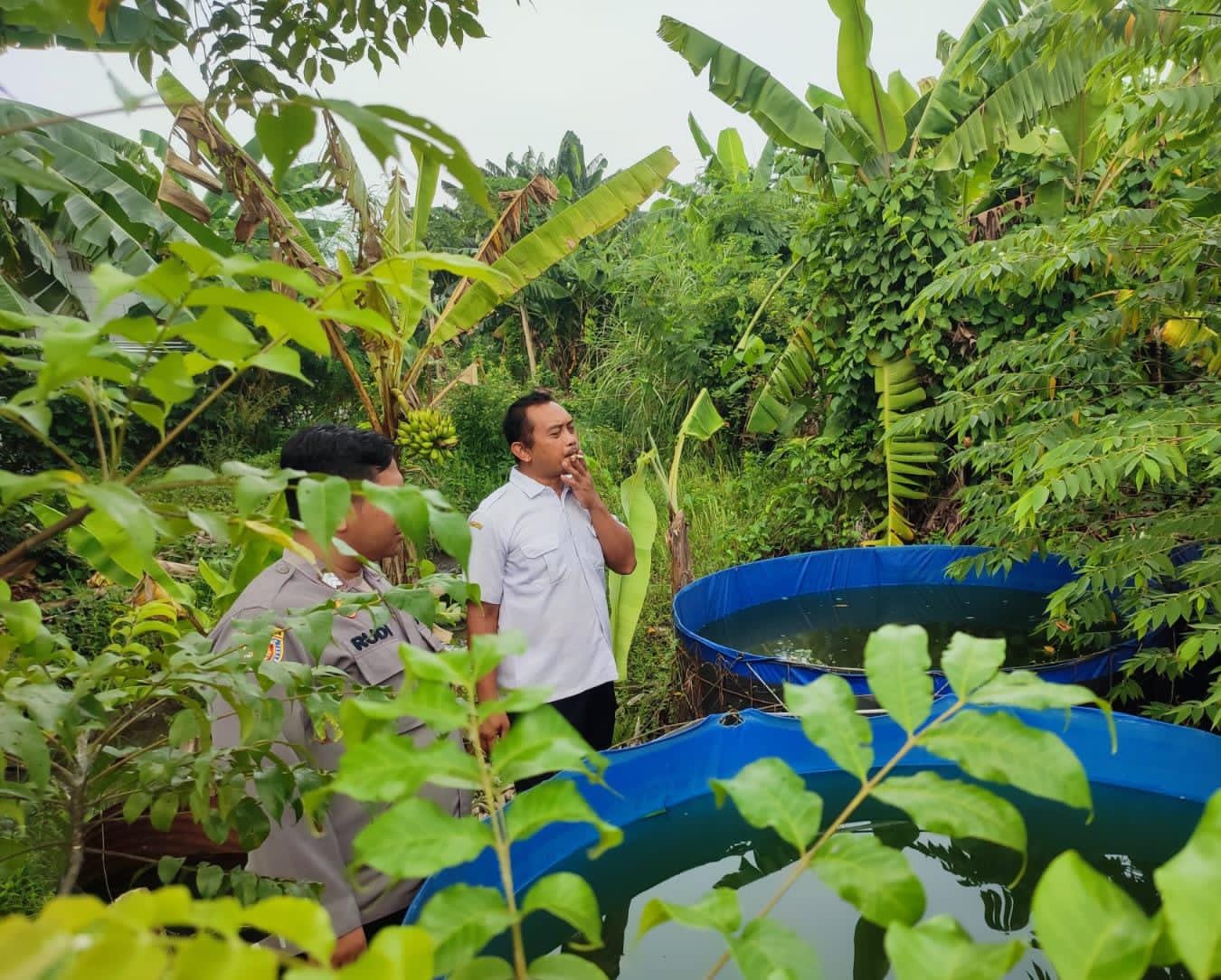Polsek Candi Dukung Ketahanan Pangan lewat Budi Daya Lele di Desa Sidodadi