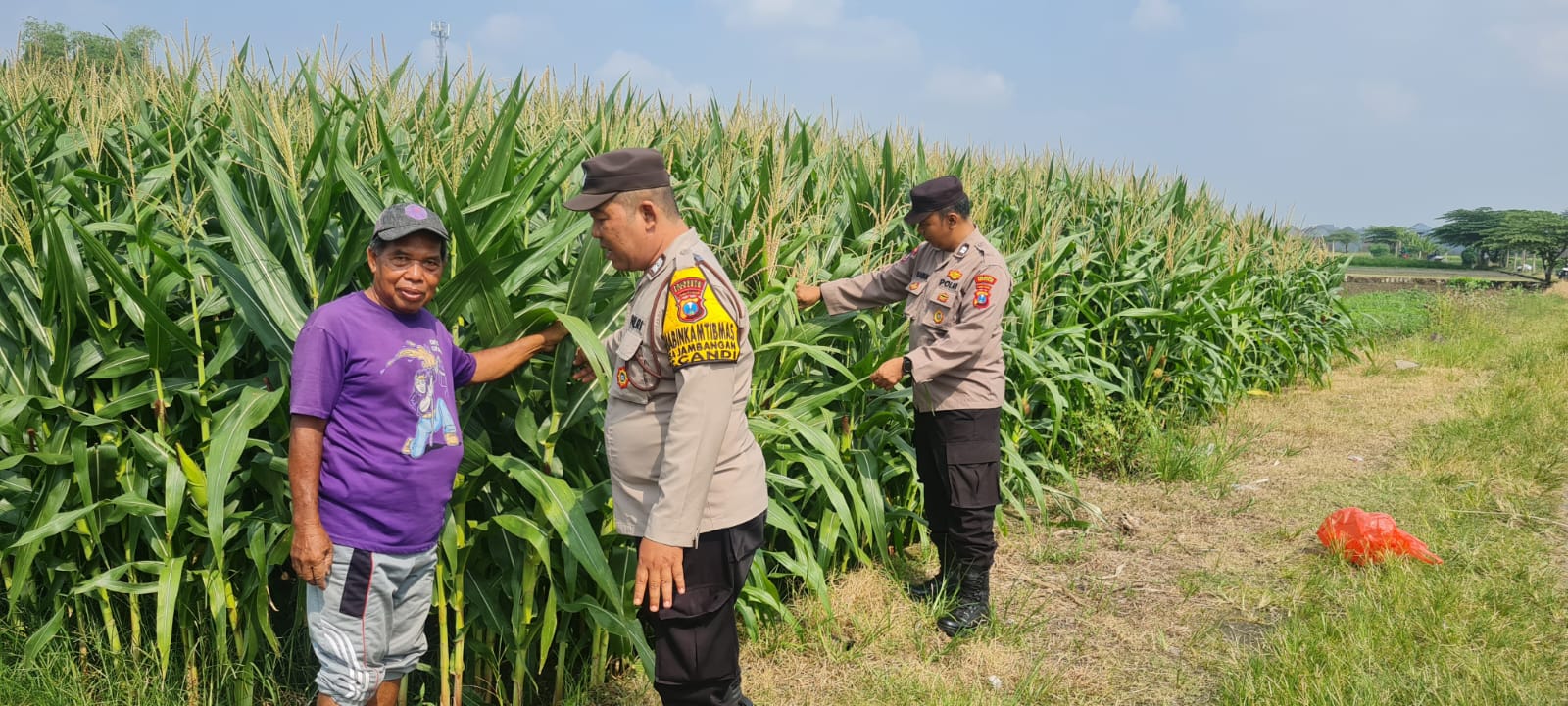 Dukung Swasembada Pangan, Polisi Sidoarjo Masif Dampingi Petani