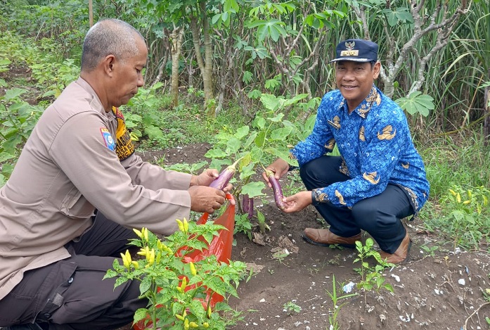Polisi Cinta Petani Edukasi Petani Terong Kemantren