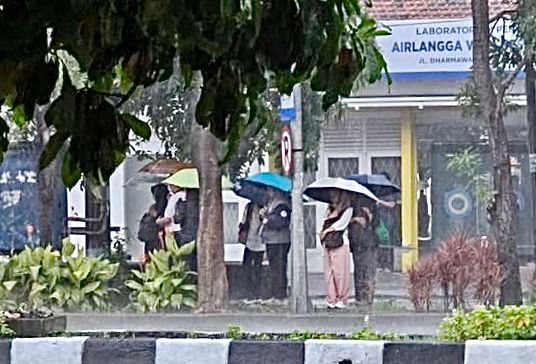 Tak Dilengkapi Halte, Warga Basah Kuyup Menanti Suroboyo Bus di Dharmahusada
