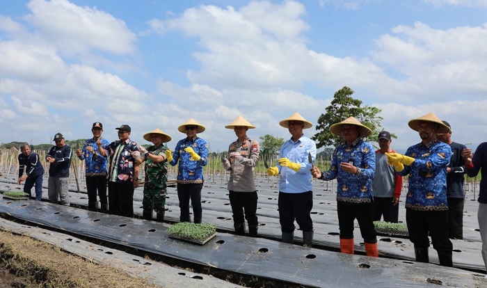 Dukung Ketahanan Pangan, Serahkan Bantuan Alsintan dan Benih