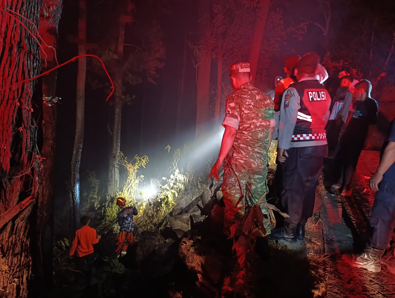 Kebakaran Hutan Pinus di Kendal Ngawi, 0,2 Hektare Terdampak, Api Berhasil Dipadamkan