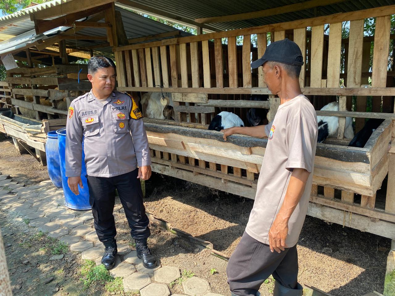 Anggota Polsek Tulangan Blusukan ke Kandang Kambing Janti untuk Dorong Program Ketahanan Pangan