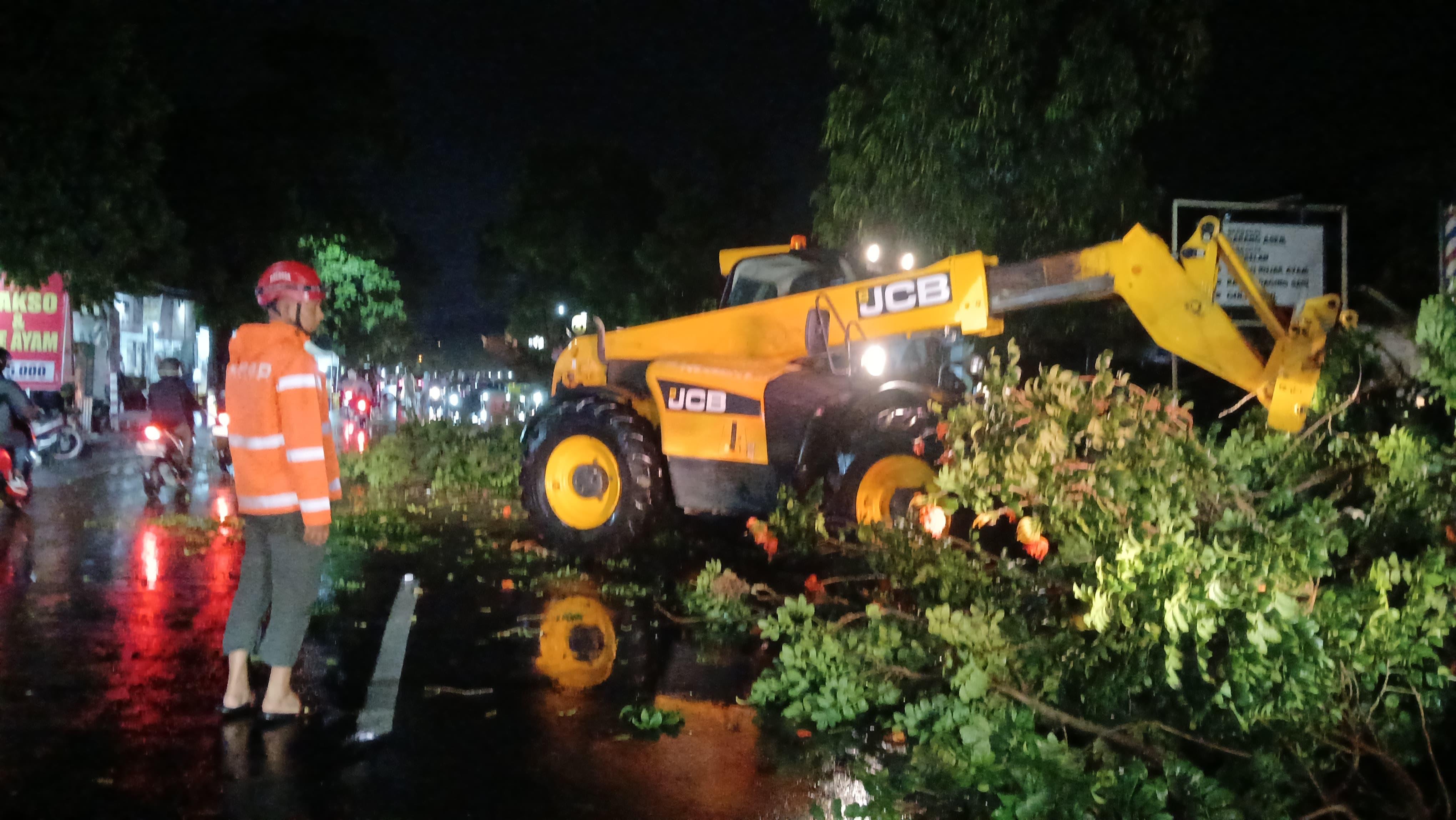 Angin Kencang Terjang Jombang, Pohon Tumbang dan Reklame Roboh di Sejumlah Titik