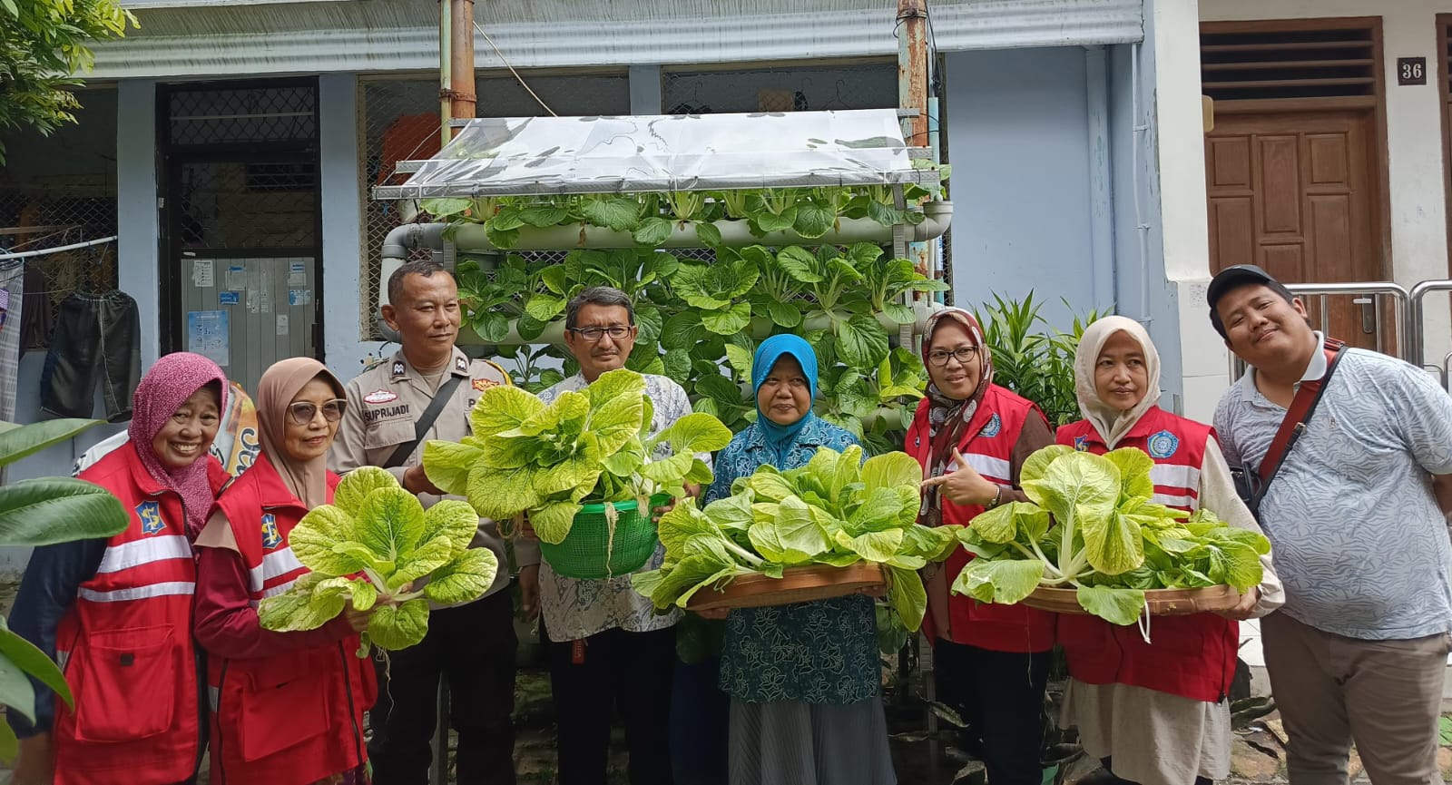 Kapolsek Genteng Bersama Warga Petik Hasil Budidaya Pokcay di Kampung Hidroponik