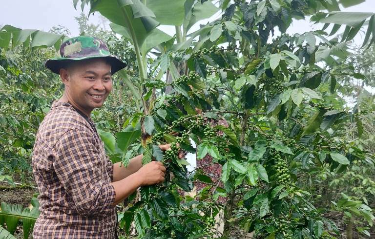 Kopi Sumadi Binaan BI Tembus Pasar Luar Negeri