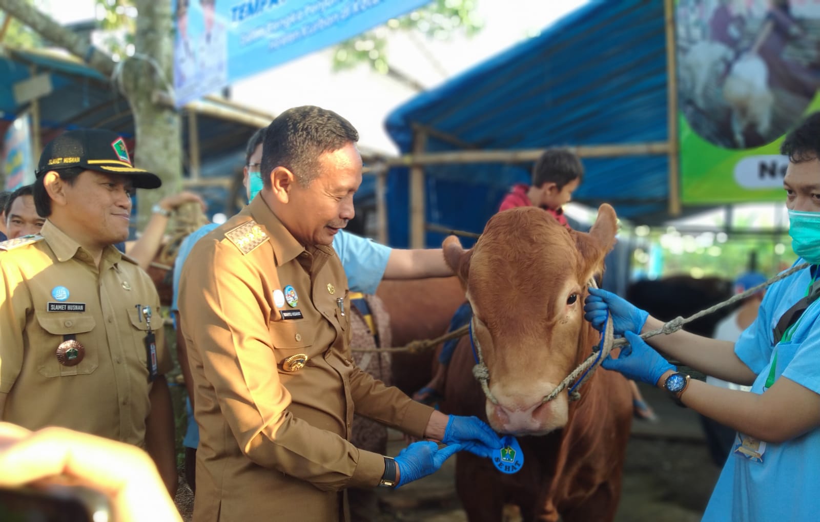 Wali Kota Malang Wahyu Hidayat Cek Lapak Hewan Kurban 