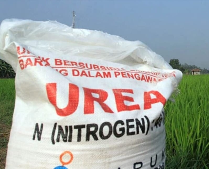 Penjualan Pupuk Subsidi Melebihi HET, Kejari Lamongan Belum Panggil Kiosnya