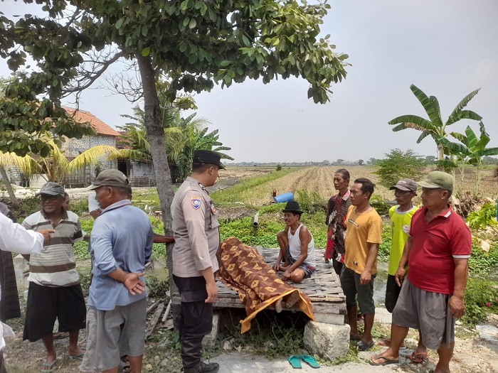 Lansia Lamongan Tewas Mendadak Saat Cari Rumput di Pinggir Jalan