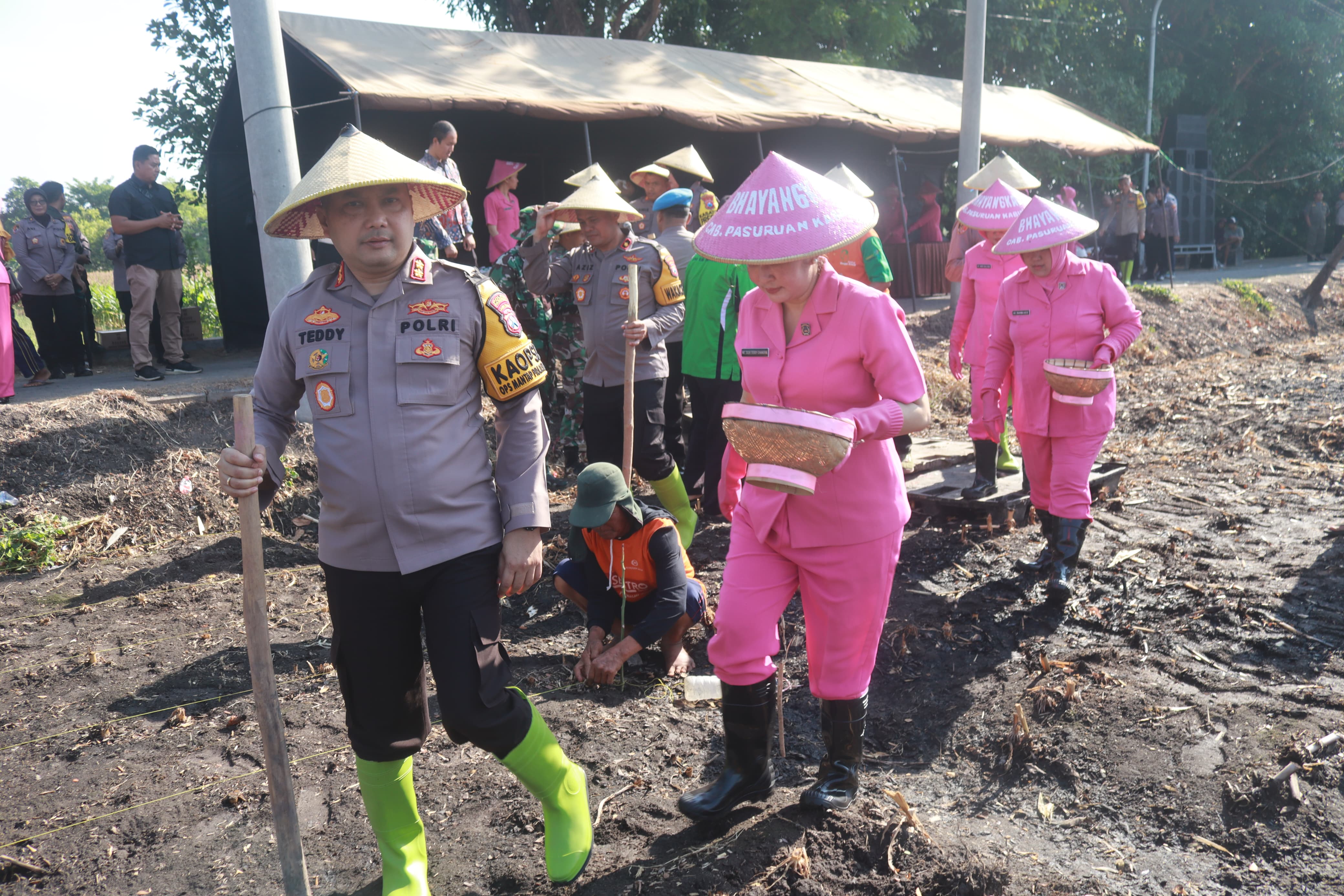 Kapolres Pasuruan Terjun Langsung, Tanam Jagung di Rembang dan Wonorejo