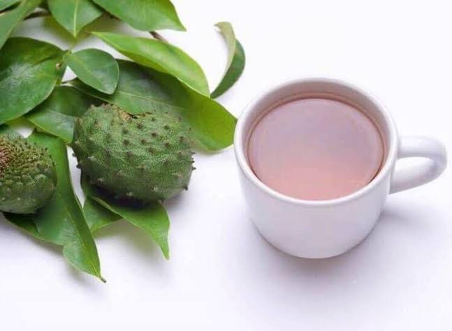 5 Khasiat Air Rebusan Daun Sirsak, Bisa Cegah dan Obati Penyakit Ini