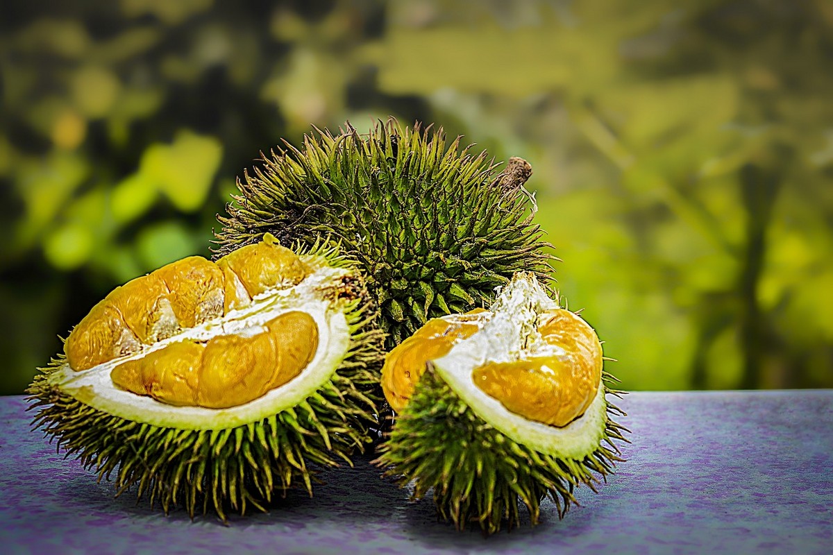 Rahasia Dibalik Aroma Menyengat dan Cita Rasa Unik Durian