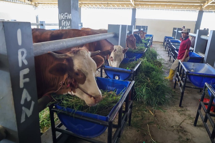 RPH Osowilangun Minim Air, Pasokan Daging Surabaya Tetap Aman