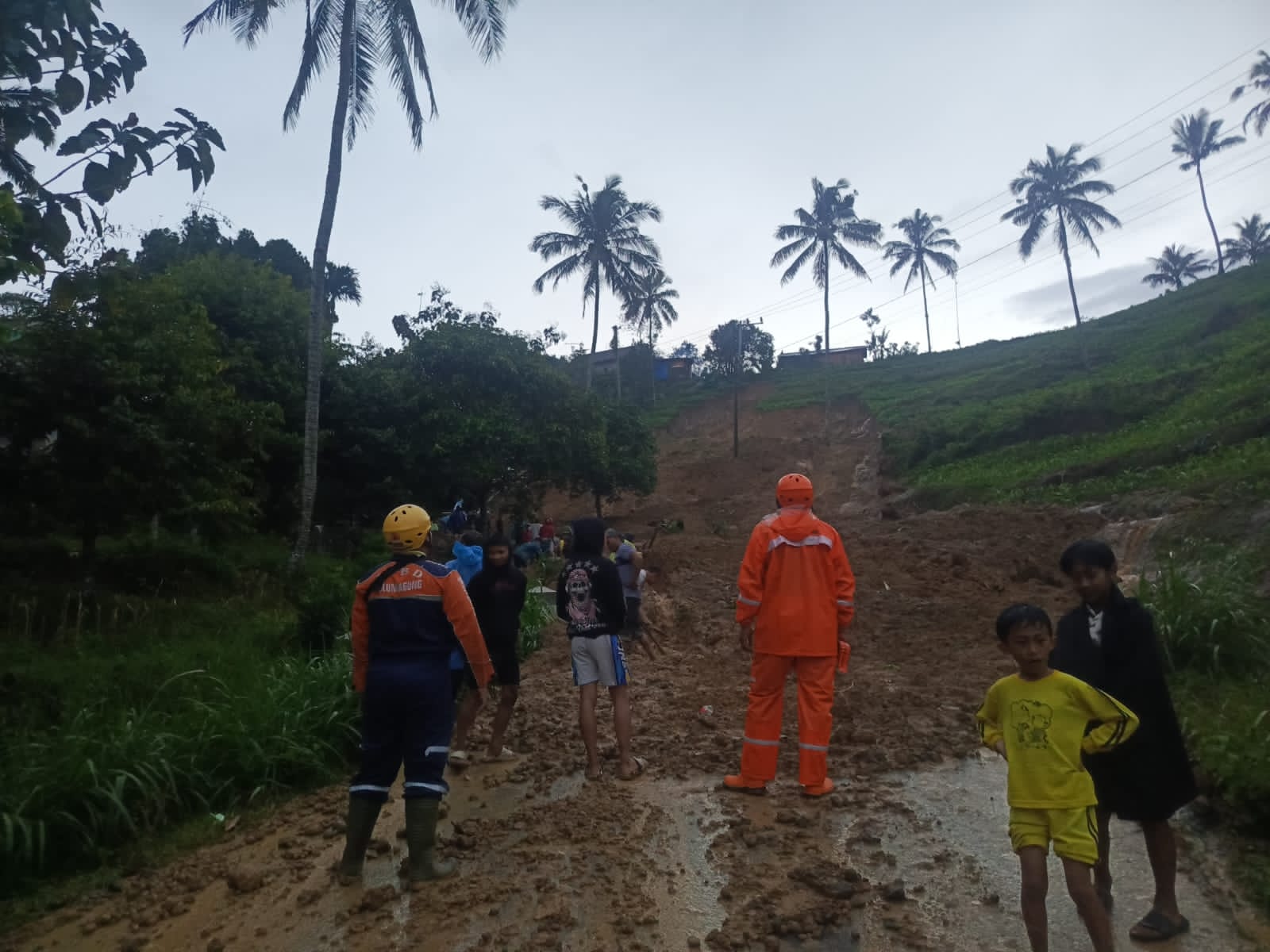 SDN 2 Kradinan Rusak Tertimpa Longsor, Akses Jalan Tulungagung-Trenggalek Lumpuh Total