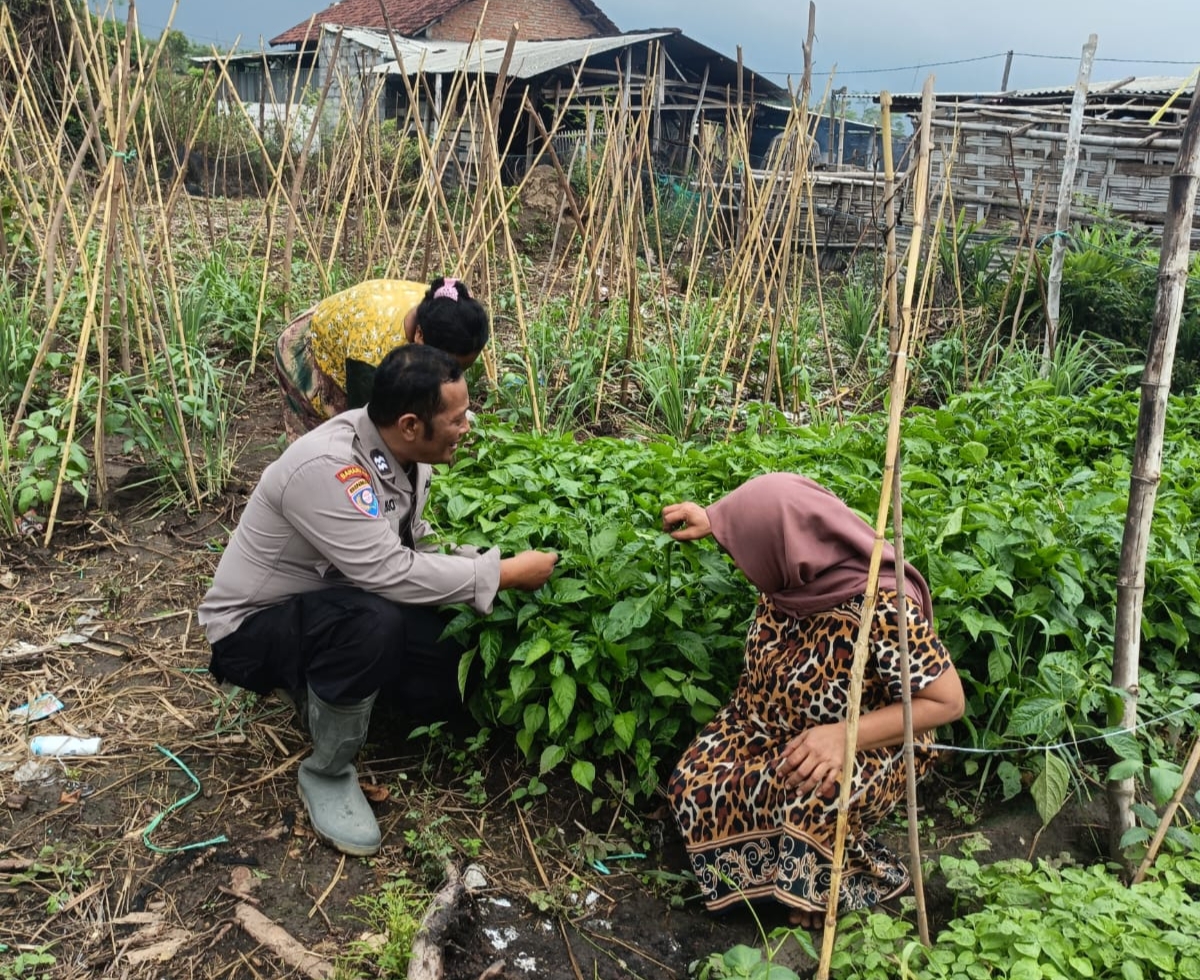 Polsek Jabon dan Warga Siapkan Lahan Produktif, Wujudkan Ketahanan Pangan