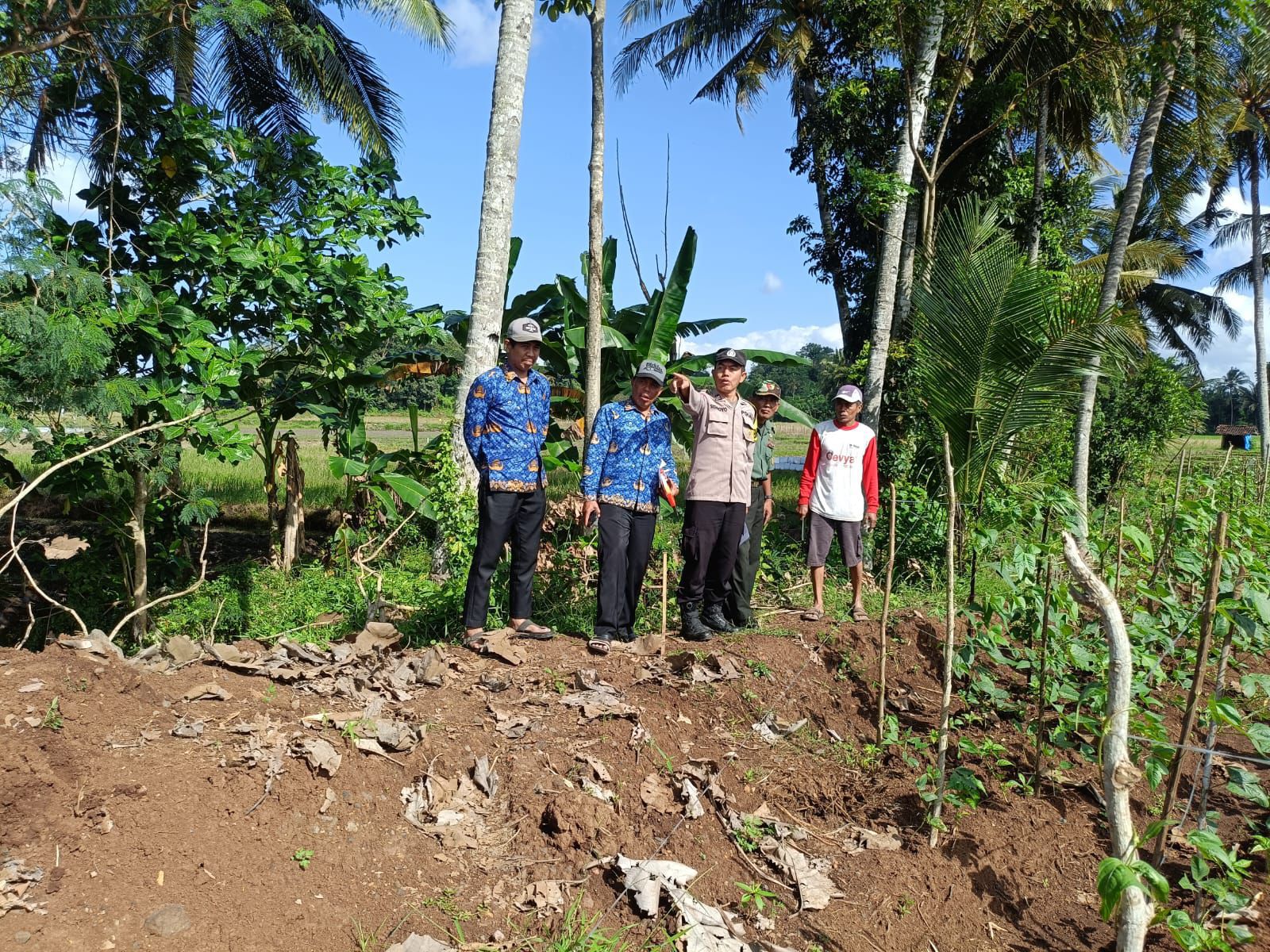 Bhabinkamtibmas Polsek Rogojampi Sambangi Warga yang Manfaatkan Lahan untuk Tanam Kacang Panjang