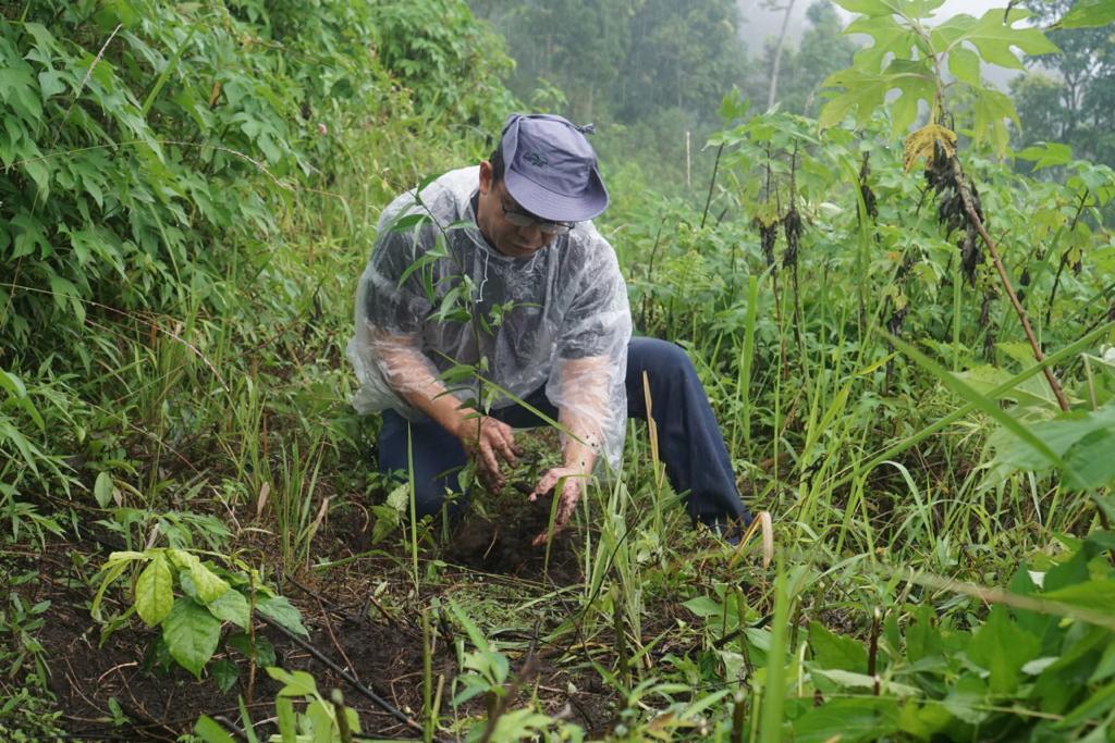 Cargill Gandeng Warga Lokal Tanam 5.000 Pohon di Gunung Arjuno