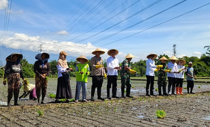 Tanam Padi Serentak, Wali Kota Malang Dukung Ketahanan Pangan 
