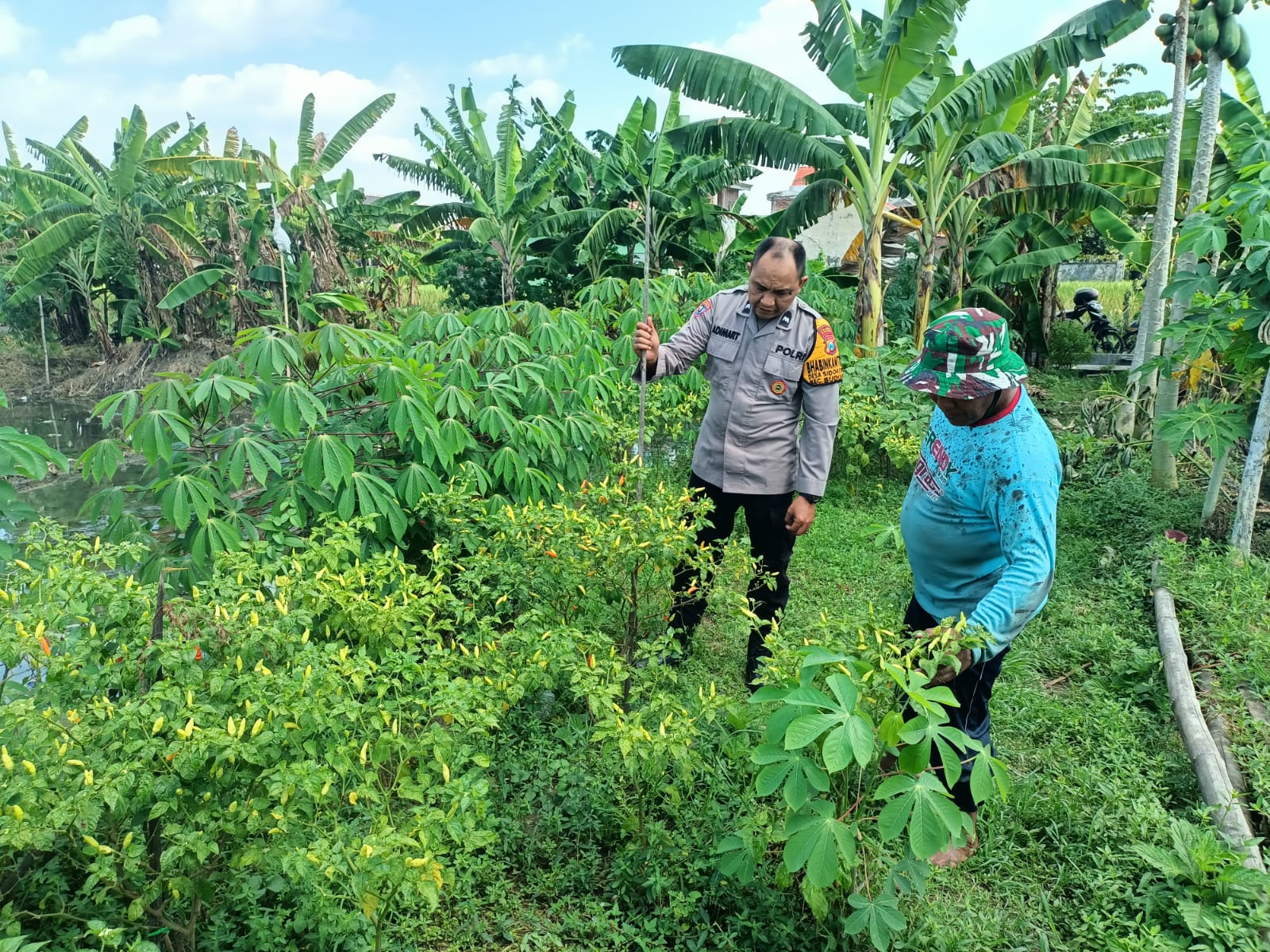 Polisi Sidoarjo Rajin Bantu Petani, Dukung Program Ketahanan Pangan