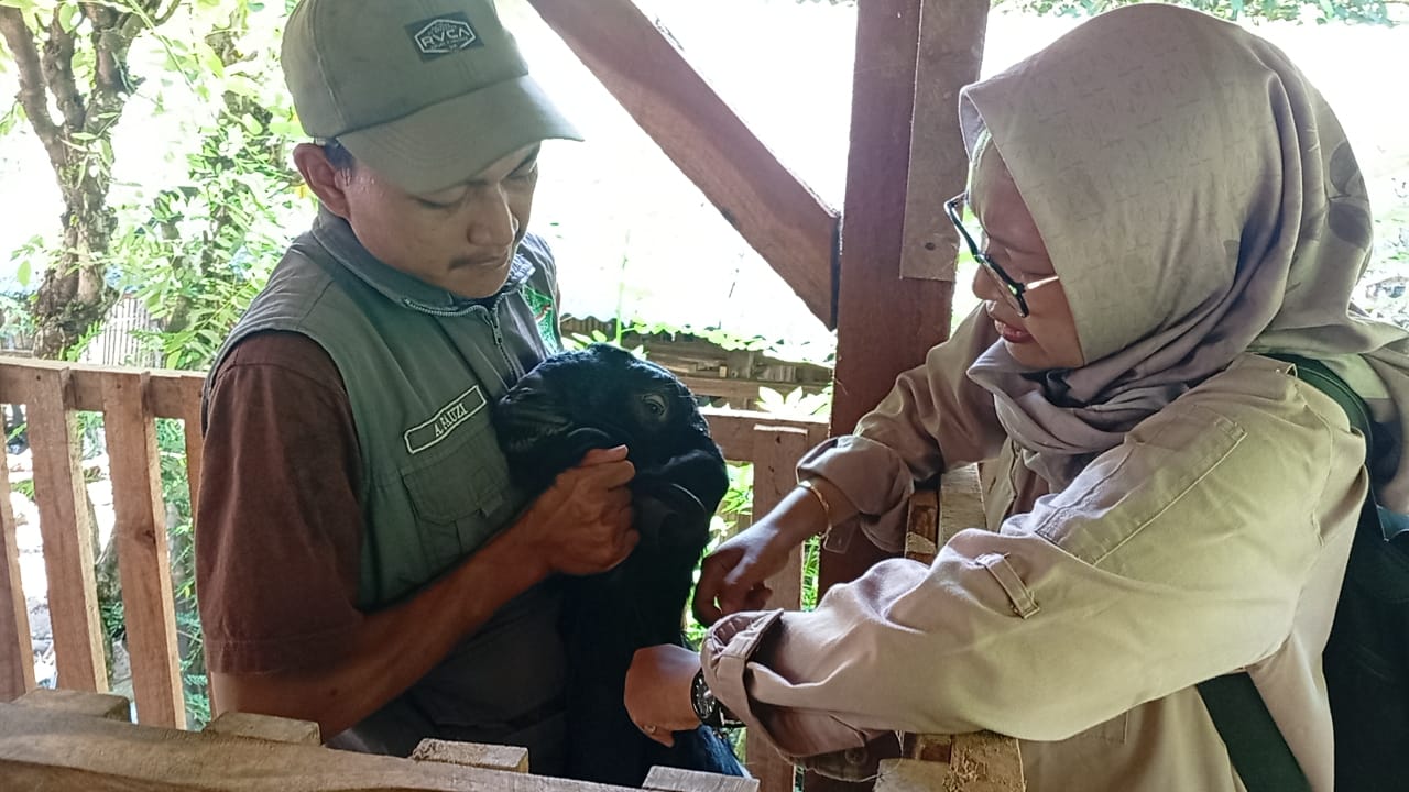 TMMD 126 Lebakharjo, Warga Dapat Penyuluhan Sekaligus Tangani Hewan Ternak