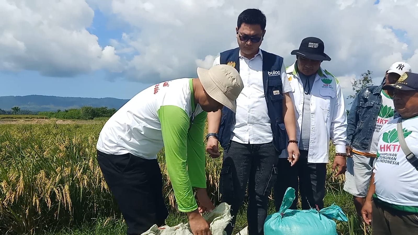 Swasembada Pangan, Bulog Jember Genjot Serapan Gabah Petani