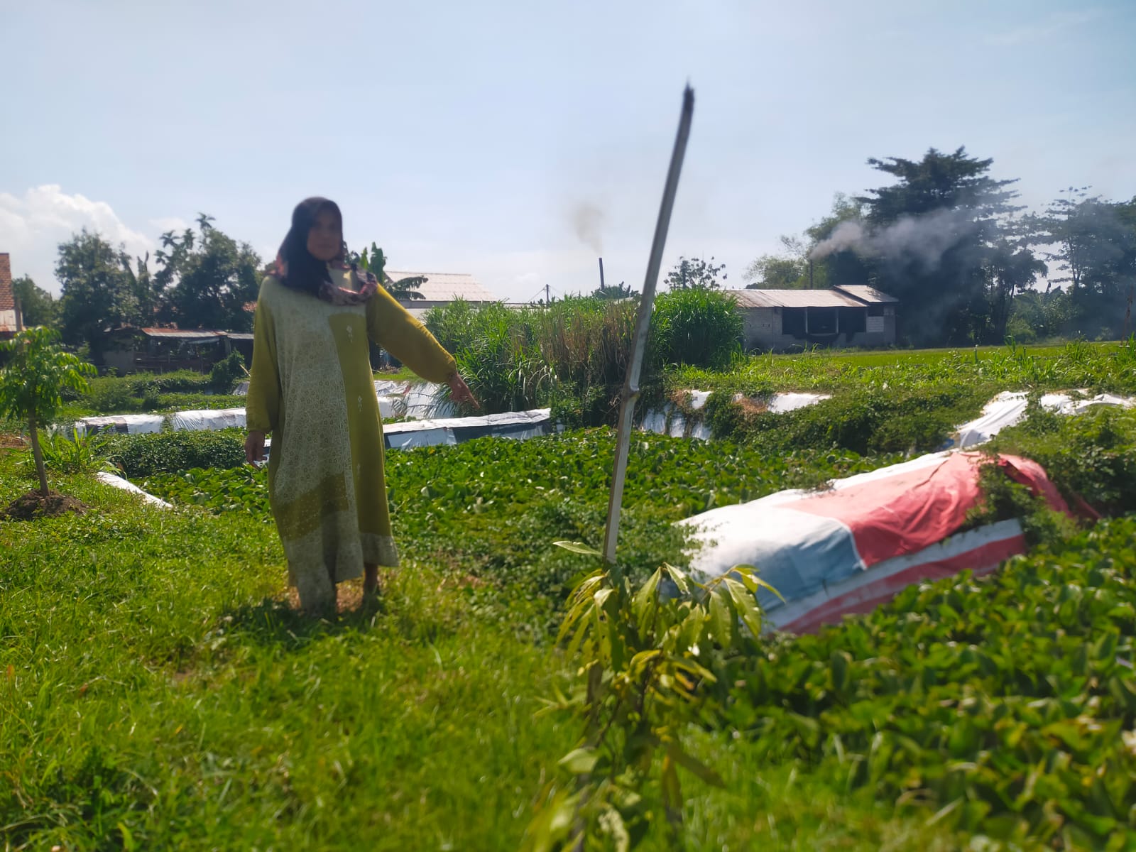 Lahan Dicaplok, Ganti Rugi Tak Jelas, Warga Mayangan Keluhkan Proyek IPAL