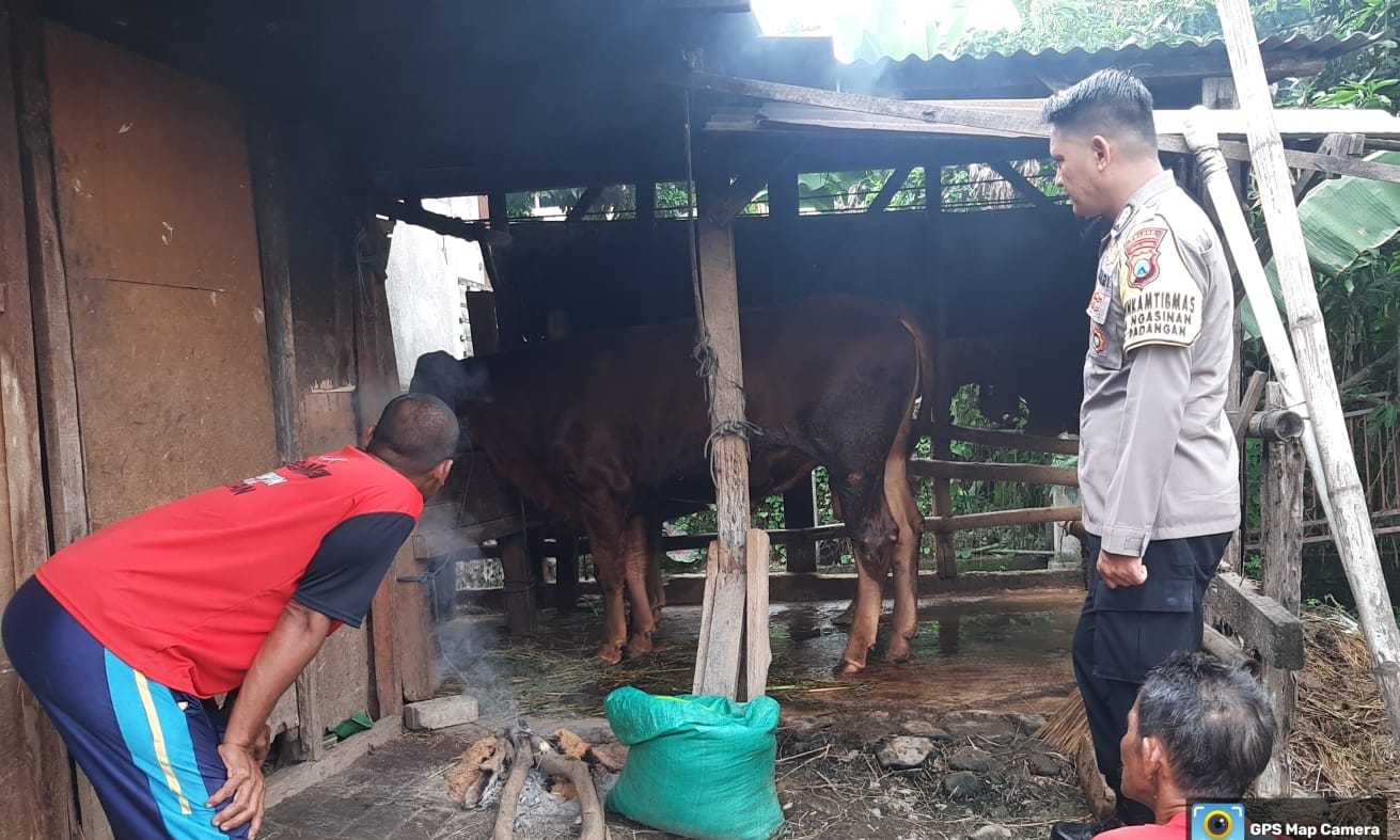 Waspadai PMK, Bhabinkamtibmas Polsek Padangan Pantau Hewan Ternak Warga