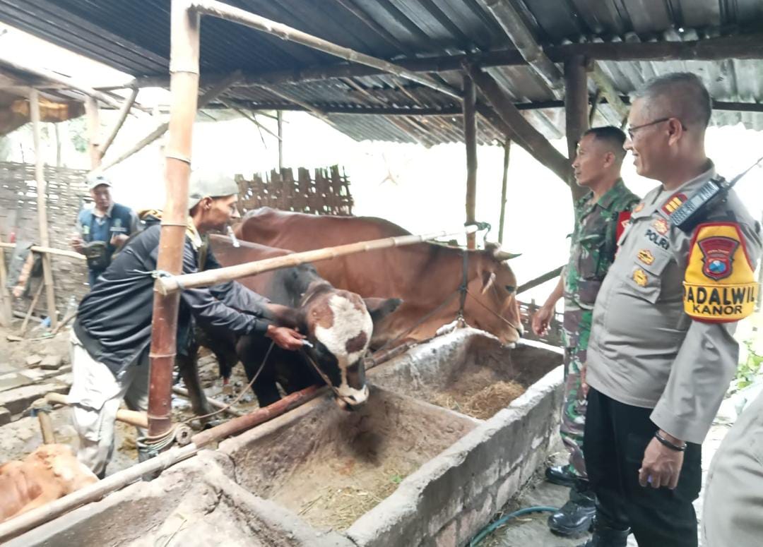 Kapolsek Kanor Terjun Langsung Sosialisasi Pencegahan PMK