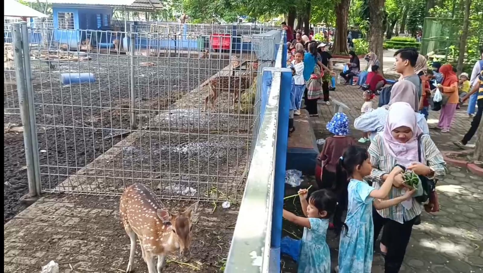 Libur Sekolah, Taman Flora Surabaya Jadi Destinasi Favorit Wisata Keluarga