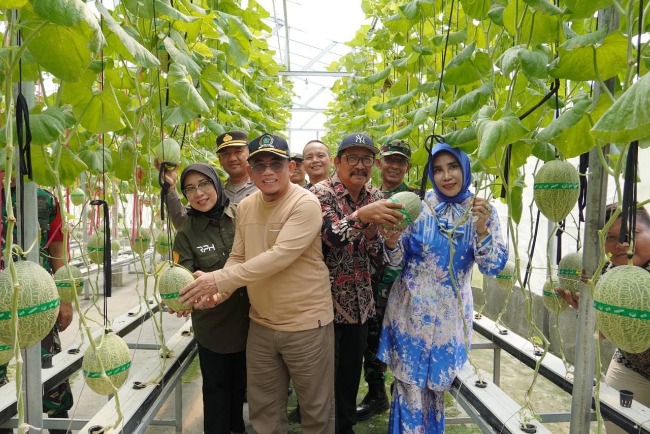 Melon Hidroponik Gempol Klutuk Tarik Dukung Program Ketahanan Pangan