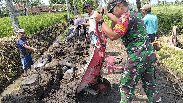 Babinsa dan Masyarakat Kaliboto Lor Bersatu Bangun Plengsengan Pertanian