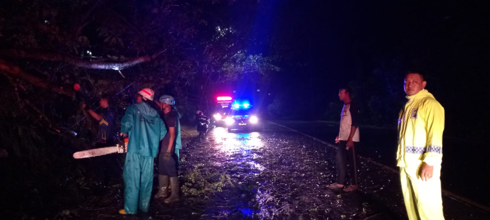 Personil Polsek Padangan Sigap Bantu Evakuasi Pohon Tumbang  di Jalan Raya Bojonegoro - Ngawi