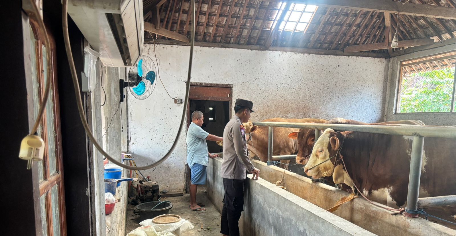 Dukung Asta Cita Presiden Prabowo Subianto, Polresta Banyuwangi Genjot Peternakan Sapi Rakyat