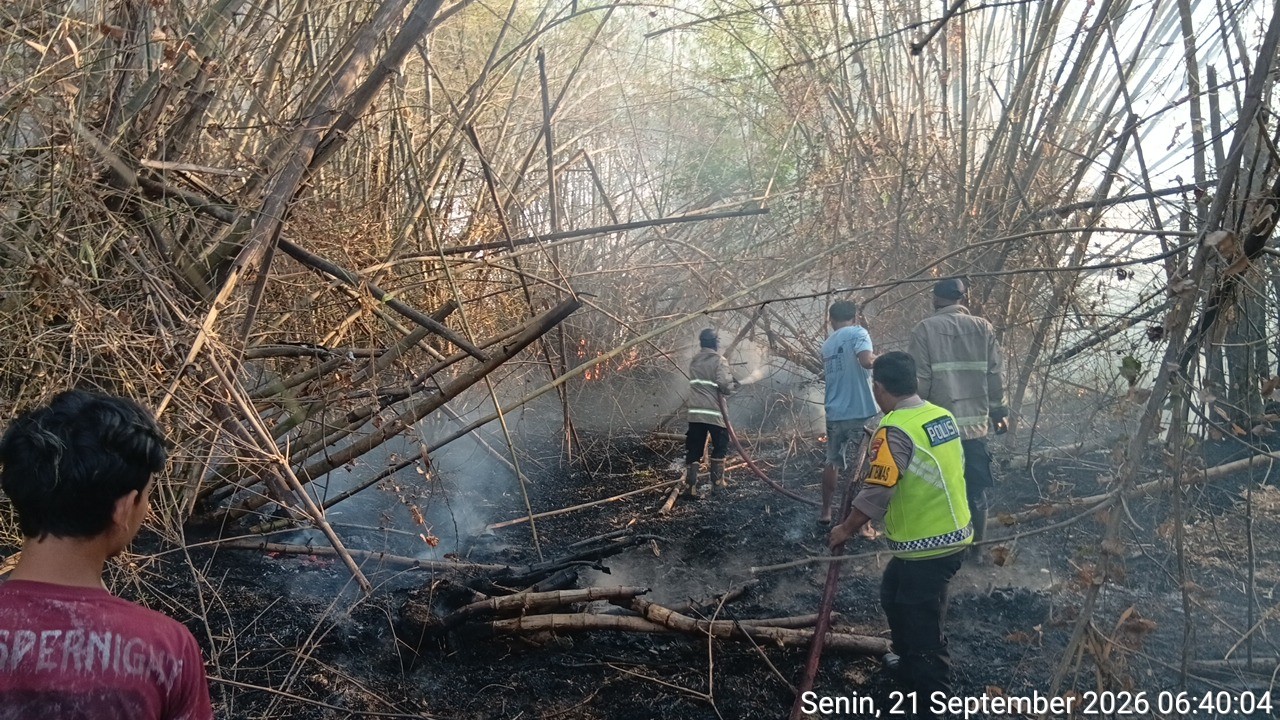 Lamongan Membara, Bambu dan Kandang Hangus, Sapi Nyaris Panggang
