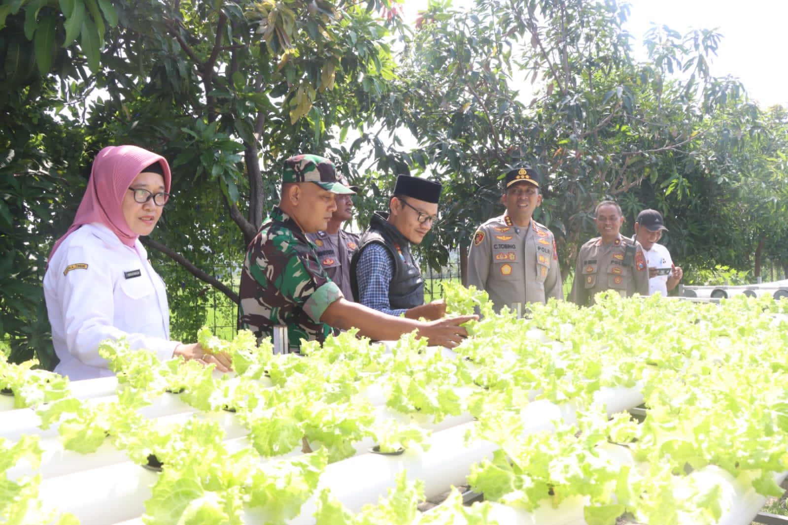 Budi Daya Pakcoy Hidroponik Dinilai Kapolresta Sidoarjo Efektif Wujudkan Swasembada Pangan Masyarakat
