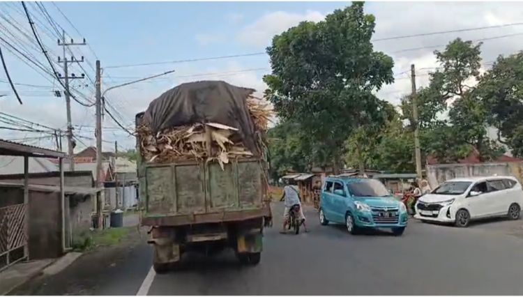 Truk Angkutan Limbah Kayu di Lumajang Rawan Picu Kecelakaan